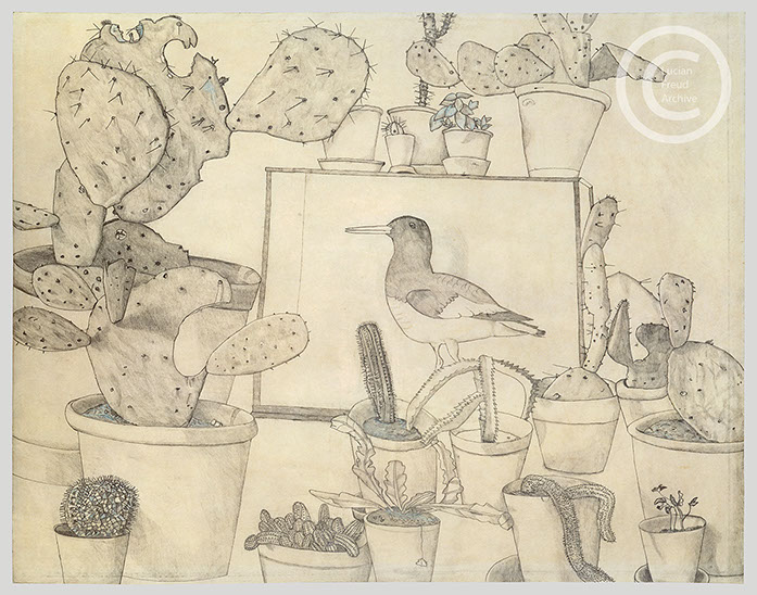 Lucian Freud 'Cacti and Stuffed Bird' 1943 Ink, wWatercolour and Goache on Paper 36.9cmx53.3cm