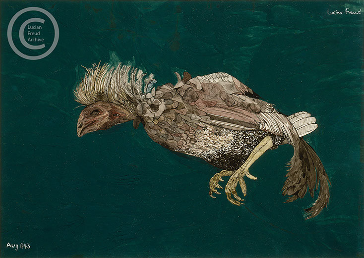 Lucian Freud 'Dead Bird' 1943 Ink, Watercolour and Gouache on paper 36.9cmx52.1cm
