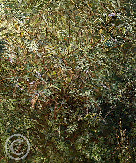 &nbsp;"Garden, Notting Hill Gate" 1997 Oil on Canvas 149cmx120cm