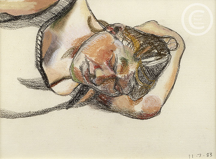 Lucian Freud 'Ib' 1983 Charcoal and pastel on paper 29.4cmx37.5cm