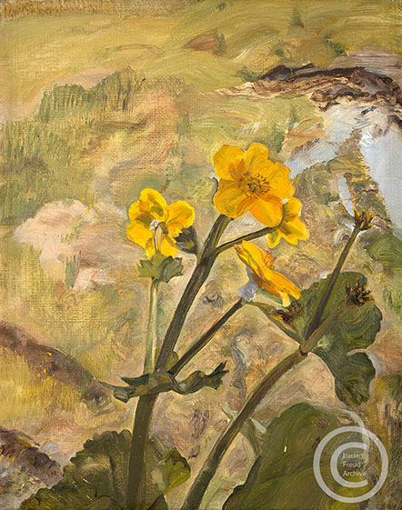 "Kingcups - Souvenir of Glenartney" 1987 Oil on Canvas 23cm x 19cm