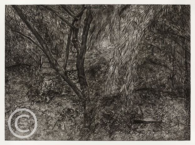 Lucian Freud "Painter's Garden" 2003-2004 Etching (ed of 46) 63.5cmx86.8cm