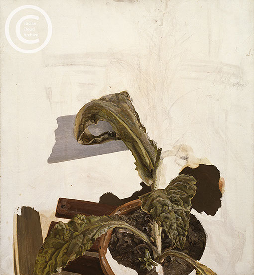 Lucian Freud "Plant Fragment" 1970's Oil on Canvas 61cmx56cm