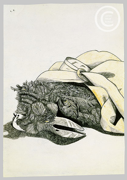 Lucian Freud 'Rotted Puffin' 1944 Conte and Crayon on Paper 20.7cmx14.6cm
