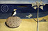 Lucian Freud "Scillonian Beachscape"  1945-1946   Oil on Canvas   49cm x 75cm 
