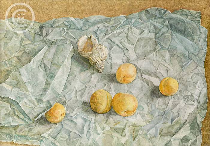 Lucian Freud "Still Life with Apricots and a Shell"&nbsp; 1949&nbsp; Oil on Canvas&nbsp; 36.8cm x 50.8cm 