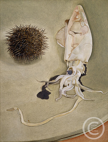 Lucian Freud "Still-life with Squid and Sea Urchin"&nbsp; 1949&nbsp; Oil on Copper&nbsp; 30cm x 23cm 