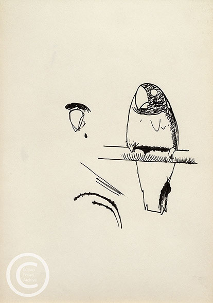 Lucian Freud 'Study for the Birds of Oliver Laronde (5)' Ink on Paper 26cmx18.5cm