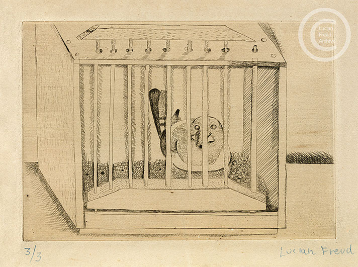 Lucian Freud "The Bird" 1946 Etching (ed of 3) 10.5cmx14.9cm