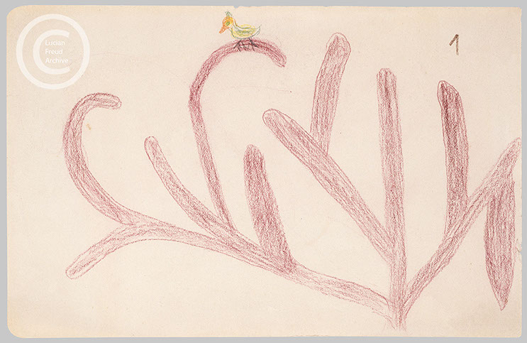 Lucian Freud 'Tree (1)' c1928 crayon on paper 14cmx21.6cm