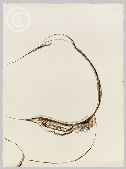 Lucian Freud 'Two Fragments (ll)' 1977 Ink on Paper 33.7cmx24.7cm