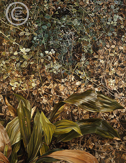 Lucian-Freud-"Two Plants"-1977-1980-Oil-on-Canvas-150cmx120cm